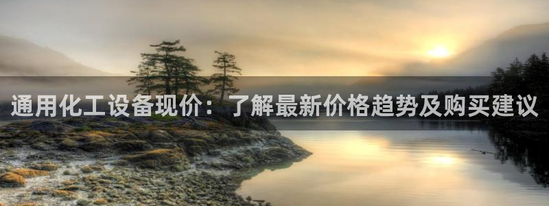 美国美狮集团