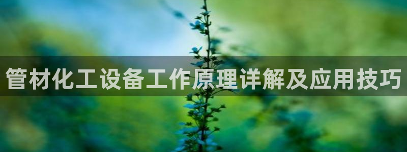 美狮贵宾会开了几年了吗