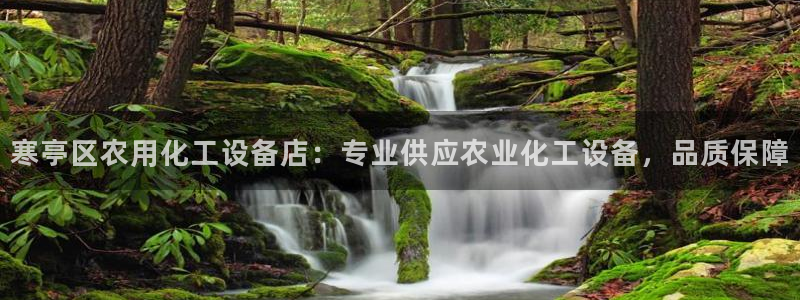 美狮会怎么赚钱