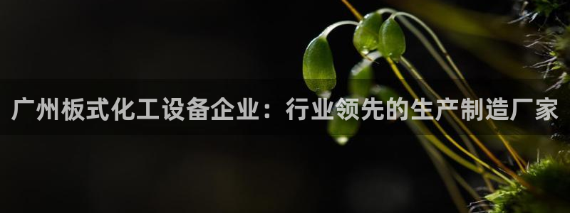 美狮贵宾会app