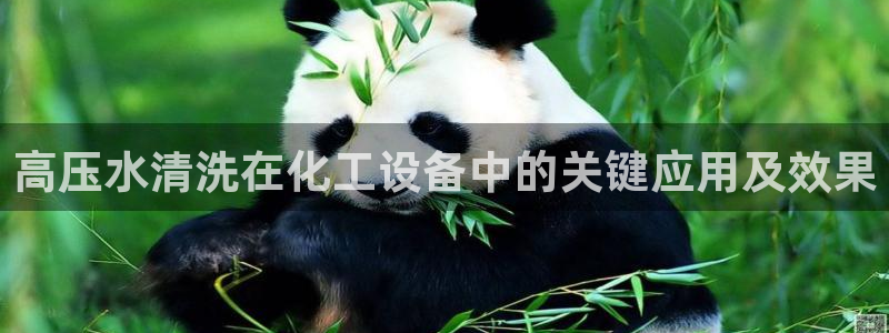 美狮会是正规平台吗是真的吗