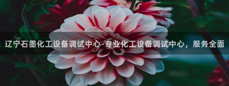 美狮贵宾会下载官方
