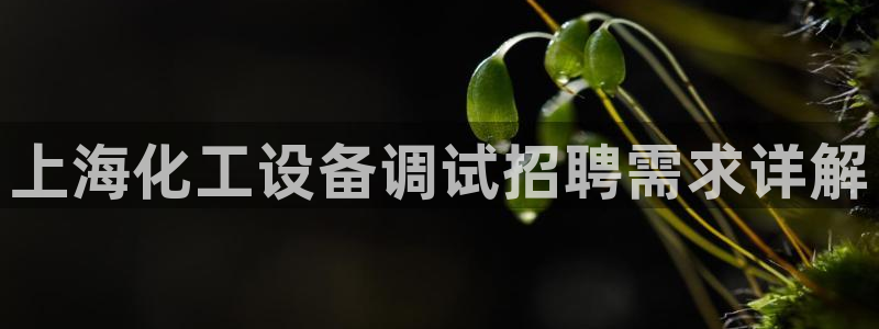 美狮实业有限公司