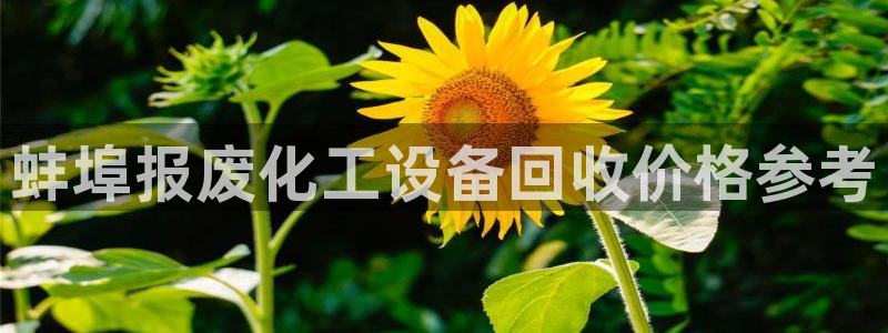 美狮外汇最新消息