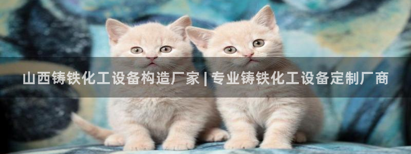 美狮会赚钱平台是骗局吗安全吗