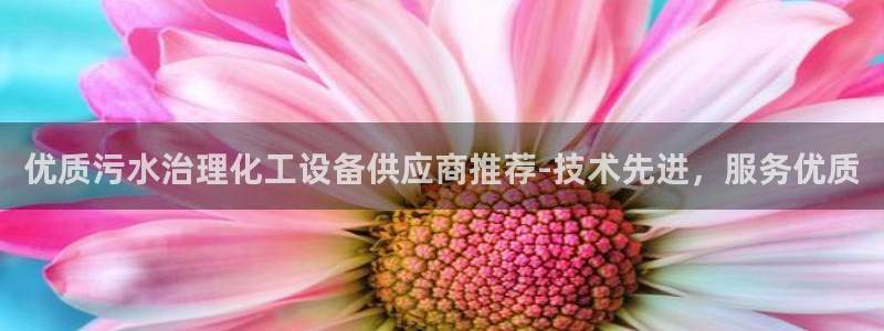 美狮集团有限公司
