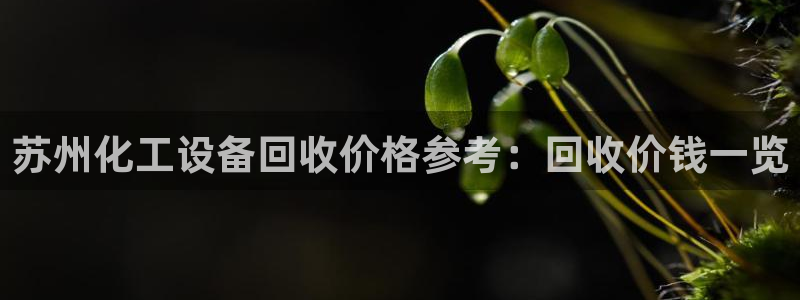 美狮会是正规平台吗是真的吗吗