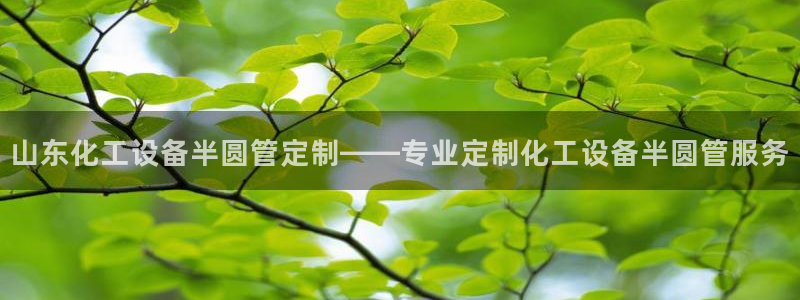 美狮贵宾快速充值中心官网
