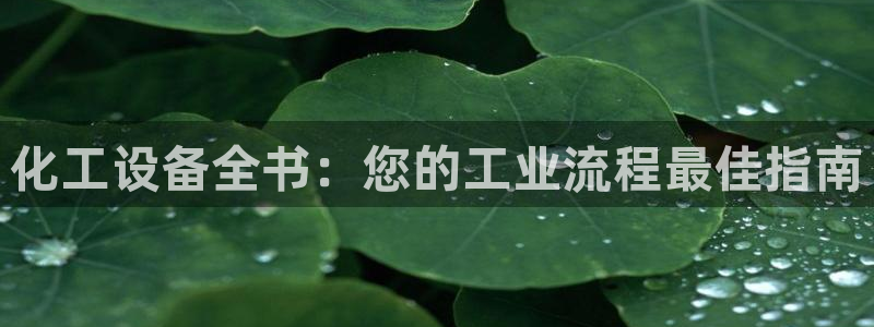 美狮传媒集团有限公司