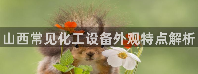 美狮会