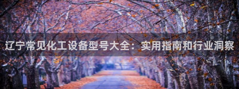 美狮贵宾会官网网址