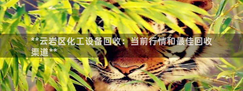 美狮会员卡等级怎么划分的