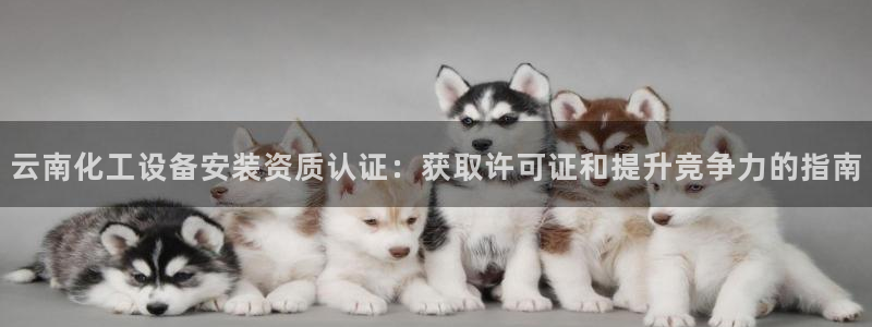 美狮会推荐人