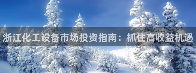美国美狮集团