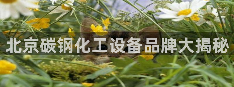 美狮集团