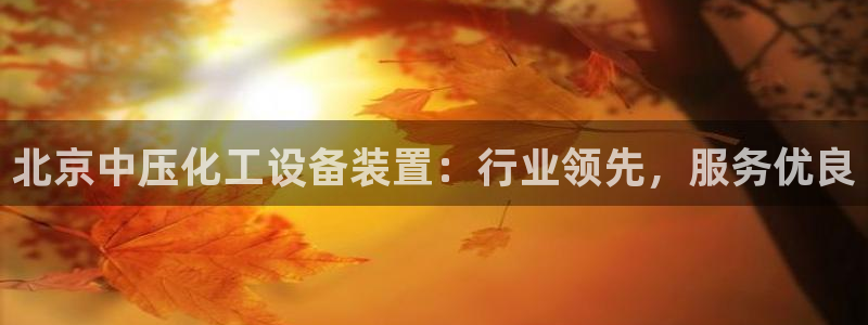 美狮集团有限公司