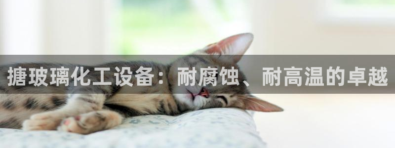 美狮国际控股集团