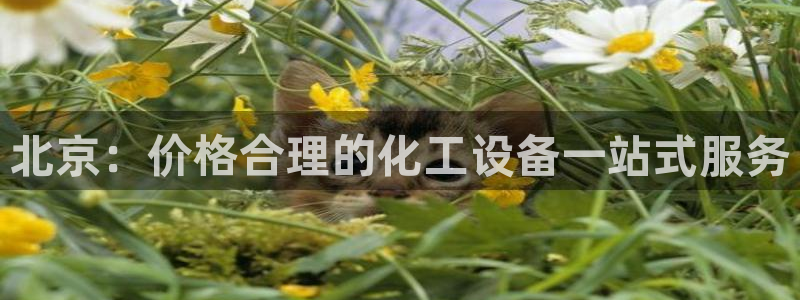 美狮会是正规平台吗是真的吗