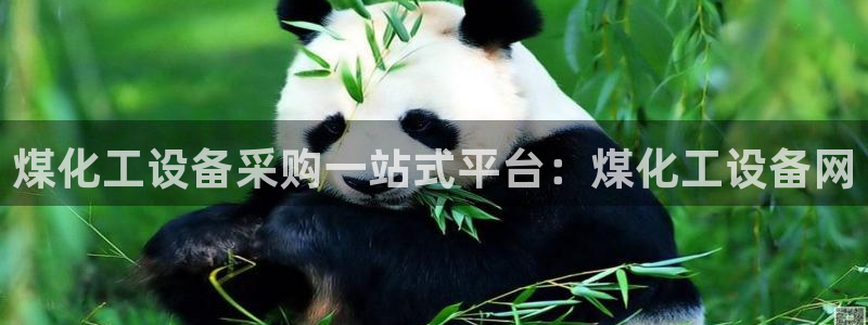 美狮科技有限公司