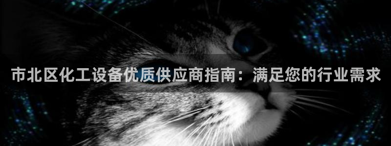 美狮科技有限公司