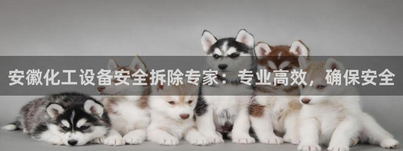 美狮贵宾会0923344