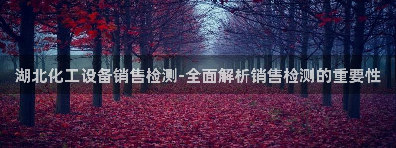 美狮科技有限公司