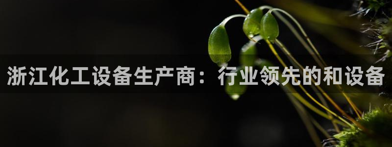 美狮平台