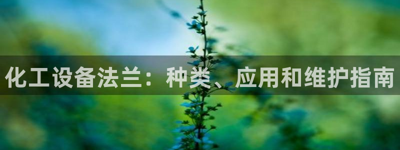 美狮贵宾有人赢过吗