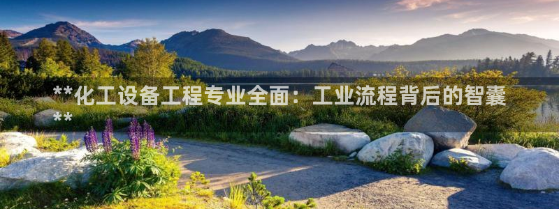 美狮集团有限公司