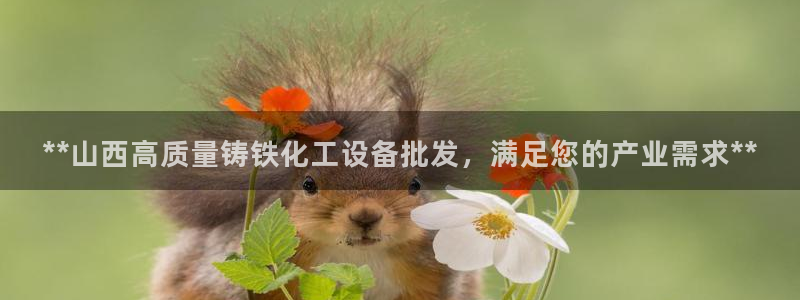 美狮贵宾会怎找不到了