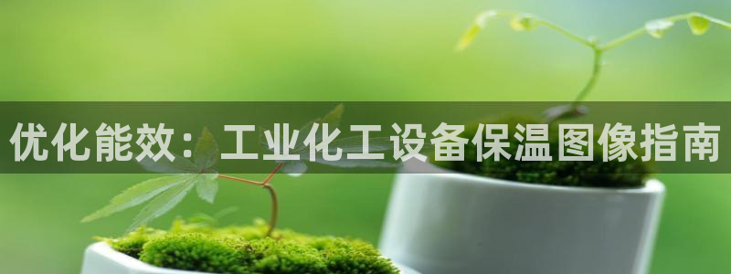 美狮会平台是干什么的