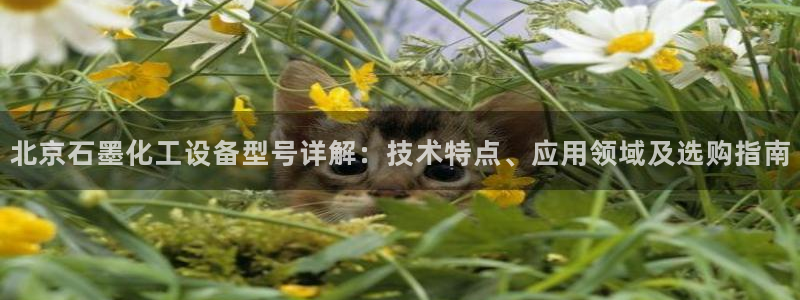美狮集团有限公司