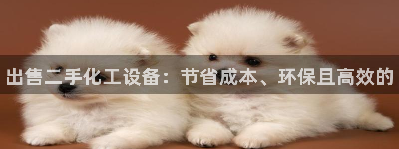 美狮科技有限公司