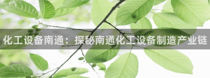美狮会员卡等级划分图