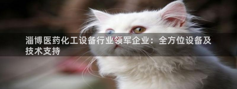 美狮贵宾会下载官方