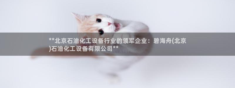 美狮传媒集团简介