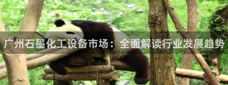 美狮会官版