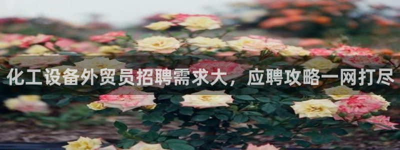 美狮贵宾会app