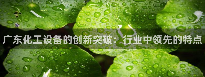 美狮贵宾厅