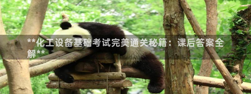 美狮贵宾会怎么不到了