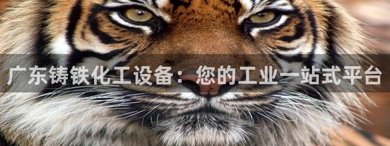美狮贵宾会怎找不到了