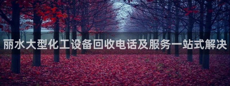 美狮贵宾会怎找不到了
