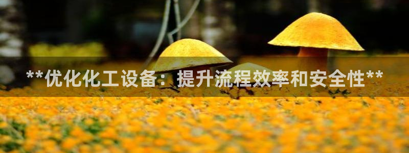 美狮贵宾会0925511