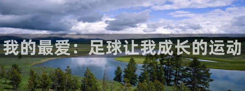 k1体育网址是多少