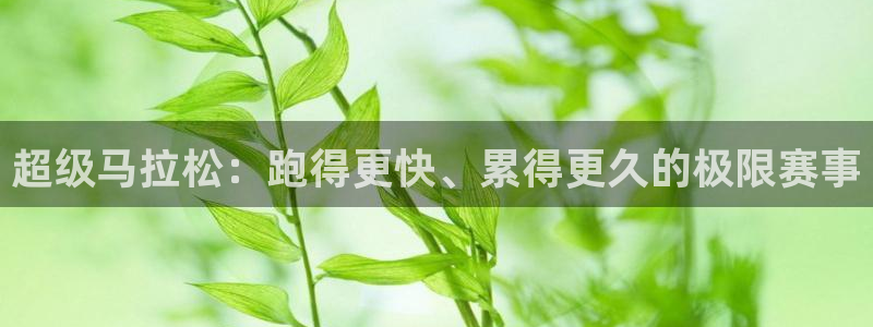 k1体育网址是多少