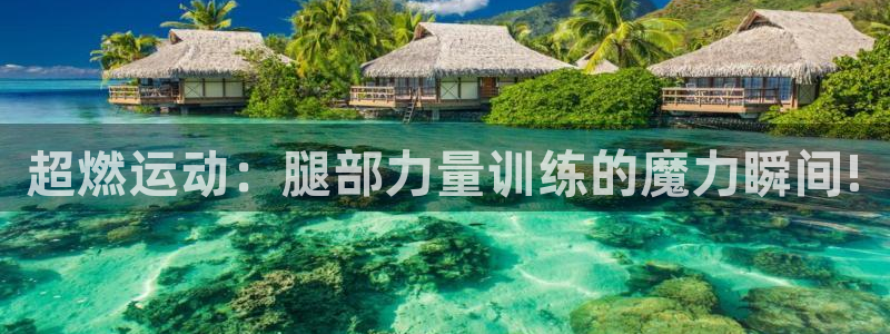 k1体育下载链接
