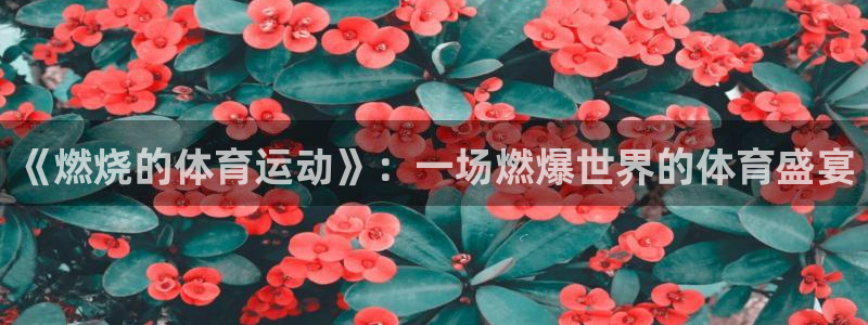 k1体育网址是多少