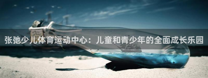 k1体育网站登录官网