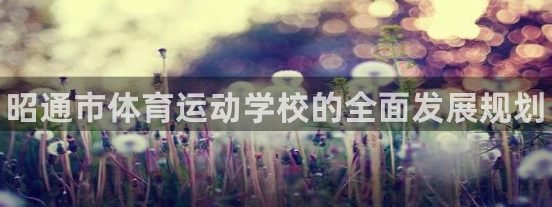k1体育十年平台